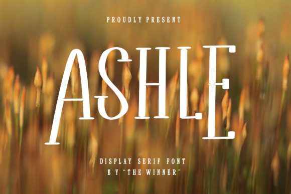 Ashle: A Serif Font for Creative Branding