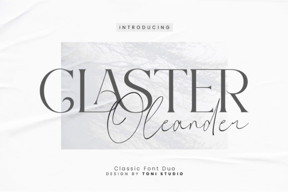 Claster Oleander: A Serif Font for Creative Campaigns