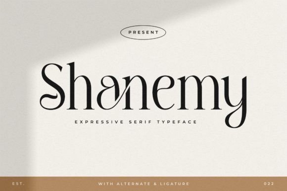 Shanemy: A Serif Font for Creative Campaigns